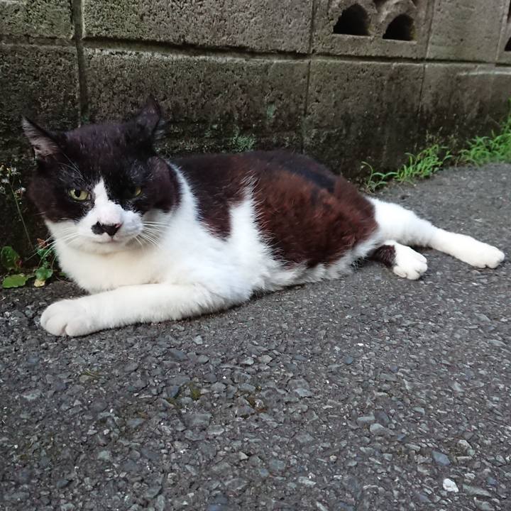 D91c22ee bae1 407f aa94 65dac1c6611a 1689414646293