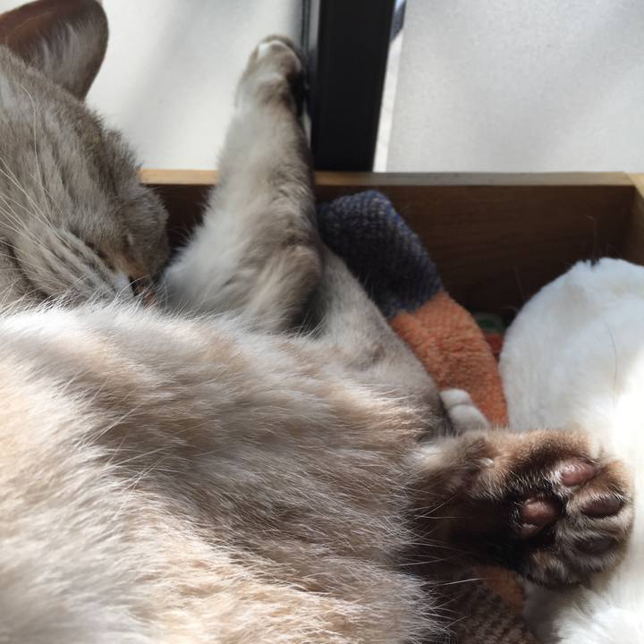 D91c2692 79fb 4b0d 9a71 95c29781e749 1524188990951