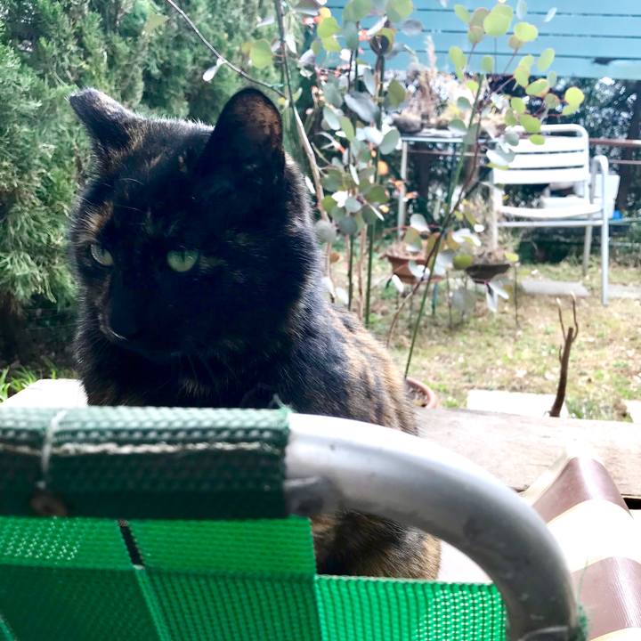 D91c2776 387c 410c 898d 3e8dff7e6f5c 1519611451685