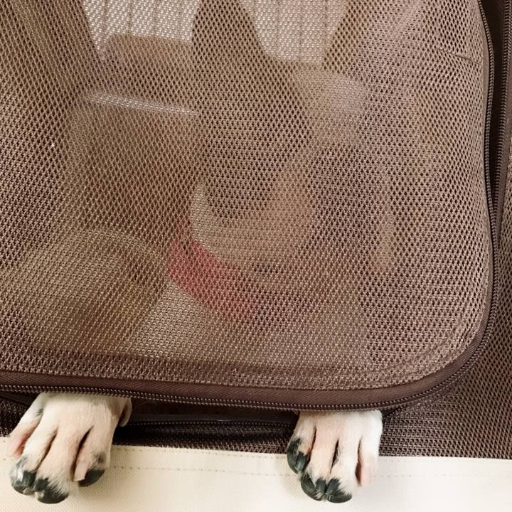 D91c3c52 11e7 445f b3cb 8b1ed86a84d2 1517757339581