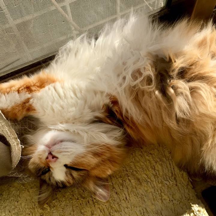 D91c4228 2165 4c2d a182 c4fcde5c5620 1558647885300