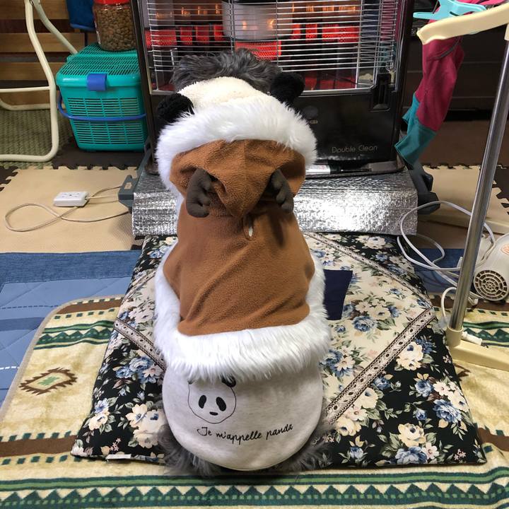 D91c6fc2 f027 4871 8bfa 771acc8227a8 1671933789673