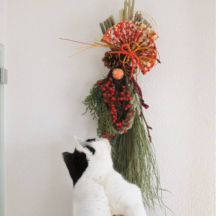 D91c7cba 844c 49d3 8e95 99feb52e0e55 1515421181972