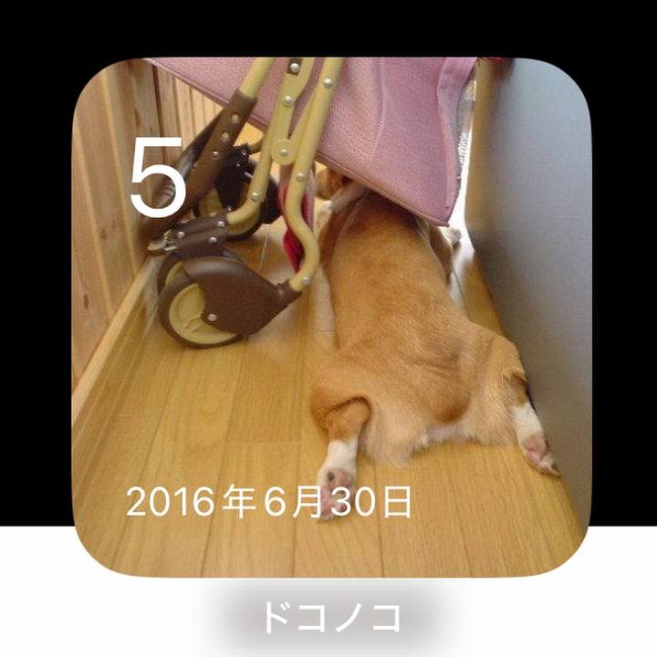 D91c9294 1ef9 4601 aae3 c46347935b9f 1751688466770