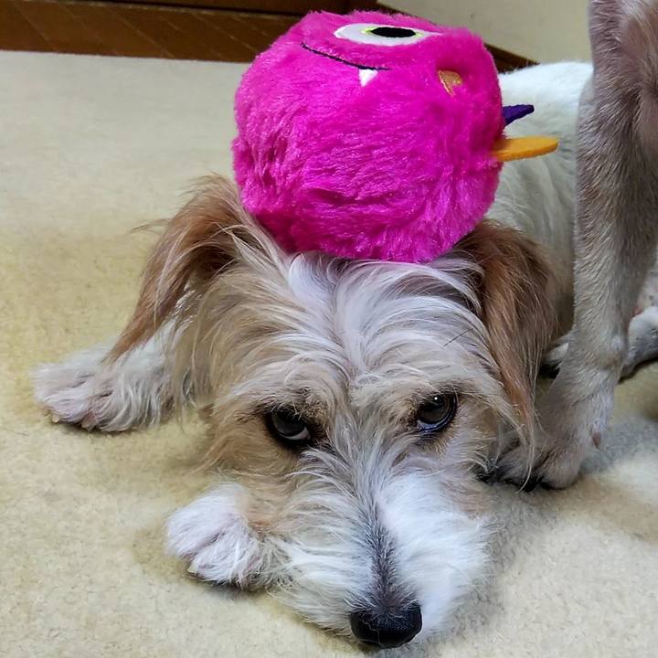 D91cce4c ce03 4902 9e3f 7b4fa07e3187 1534320987756