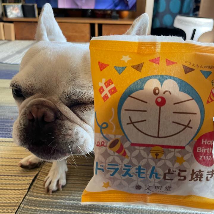 D91cf014 368f 4142 9404 8b9267e31265 1756854037963