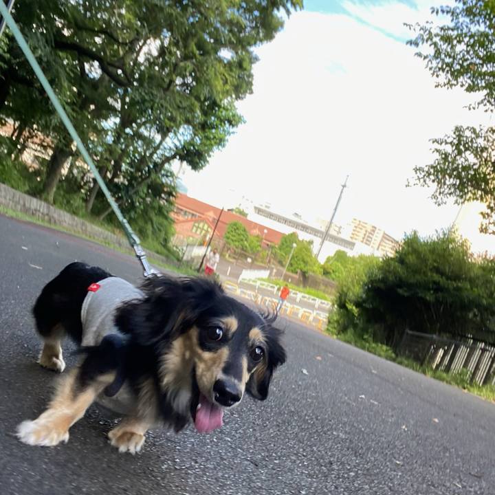 D91d111c 836d 401a 8356 e42dbf59be95 1719374928532