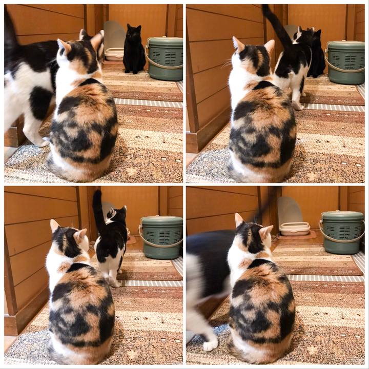 D91d2456 f0e5 4941 ae78 a99f72fa1102 1522248857675