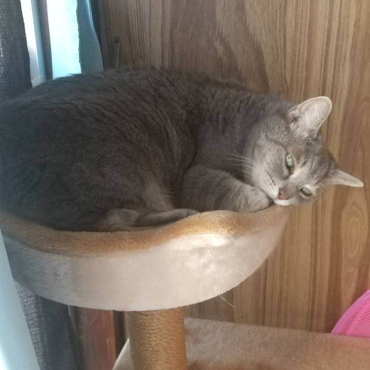 D91d24db f1fe 4003 bf1a 9047519439e7 1635488009083