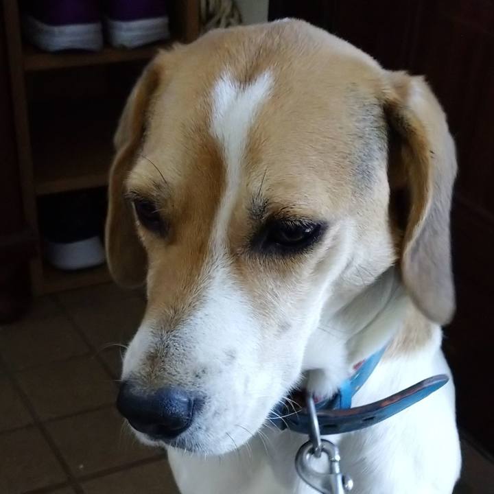 D91d2d13 6da4 4160 89b1 bd0beb8c0518 1607952973466