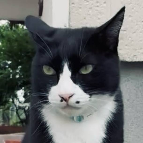 D91d2f3b 7309 4dc2 8c02 8324850589cc 1748416396862