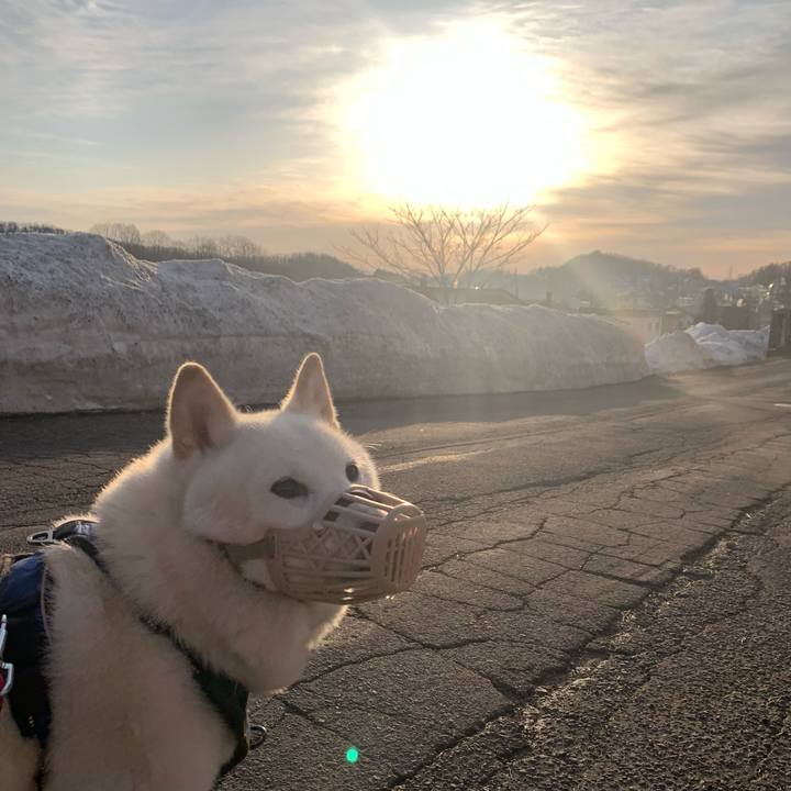 D91d3c59 25a1 4b12 a631 07ae17dd5593 1648676375101