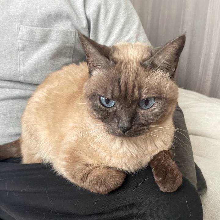 D91d468e 8201 44a2 a471 df07330daa0b 1774107175397