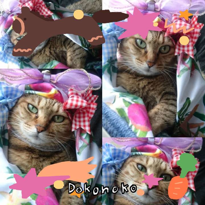 D91d52ba ae7f 4abe 92ee 17966e4fa0e2 1772330457421