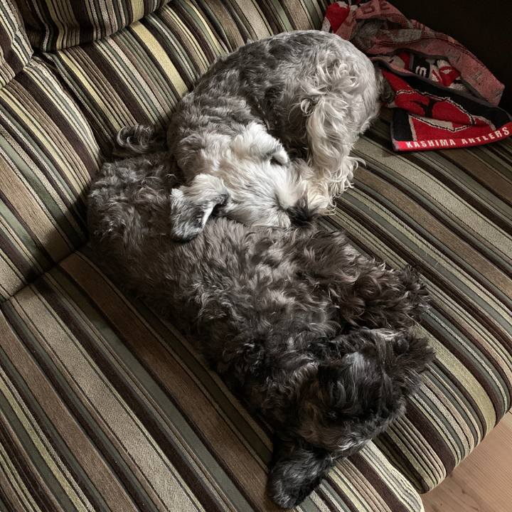 D91d68ee b06d 40df a537 ca699db70ba5 1606185108200