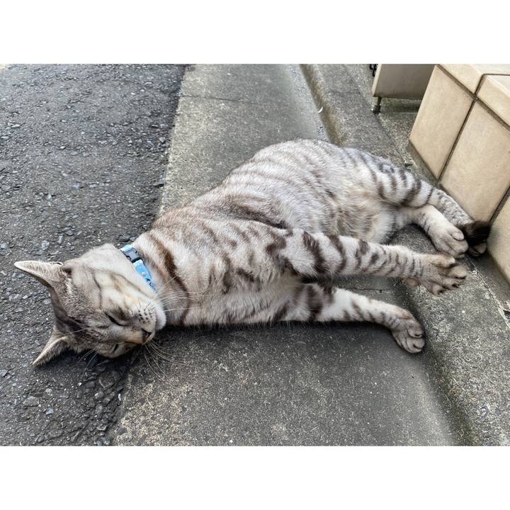 D91d72cf e307 4c46 b464 54e72fe5564b 1666511182455