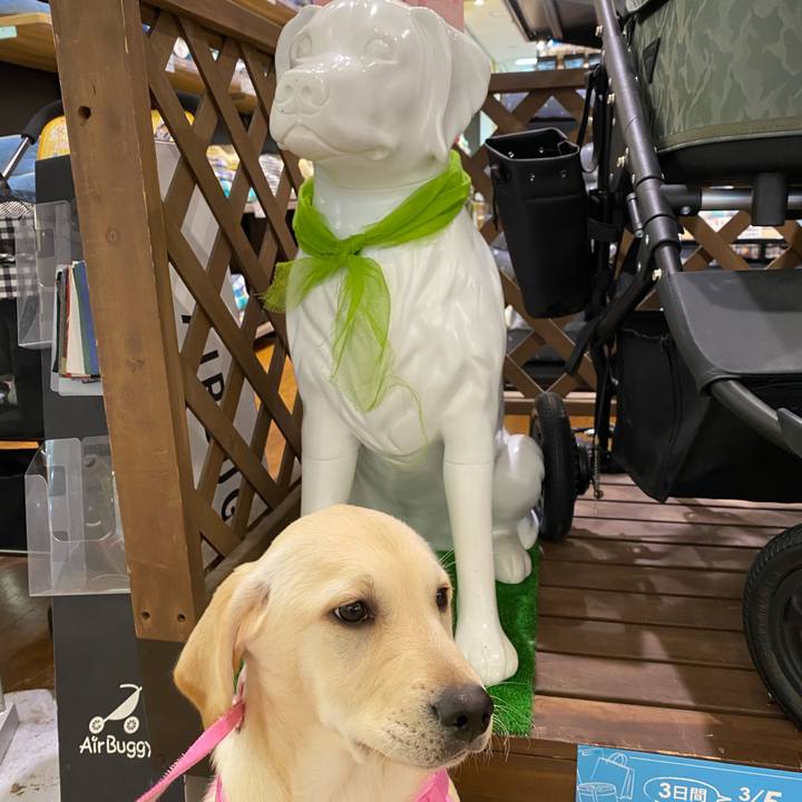 D91d8134 bb95 414a bdb1 938bc7f0d5aa 1615105649547