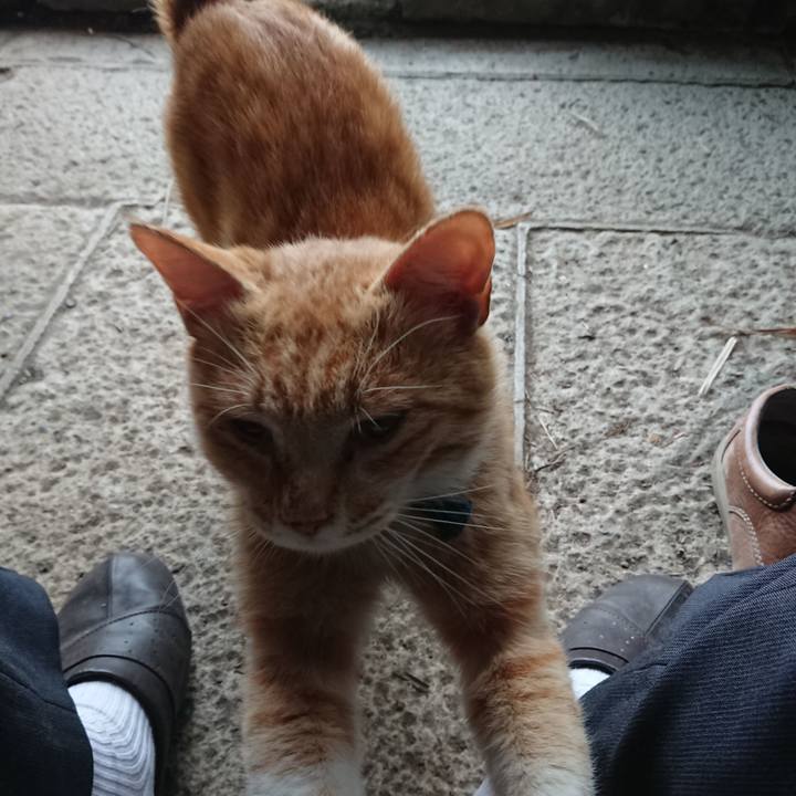 D91d9b7e 7d87 4f87 a5c4 ddd524e8d0f9 1558689246284