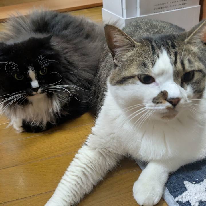 D91db77c ec47 4aed aa69 f099377e4541 1773659860604