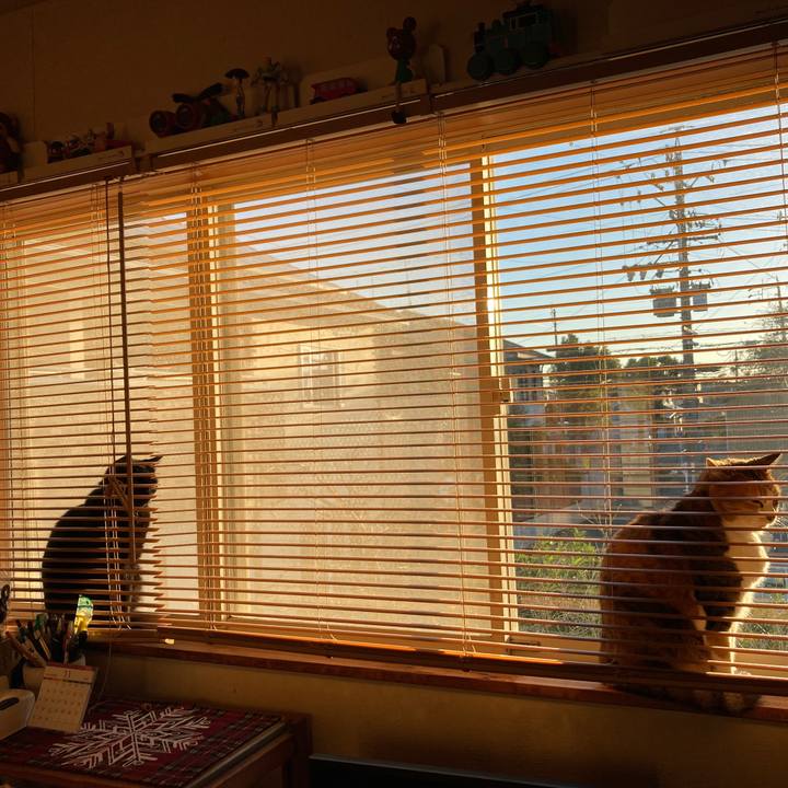 D91de542 9927 4604 ba06 1fc546bd7d33 1637705904498