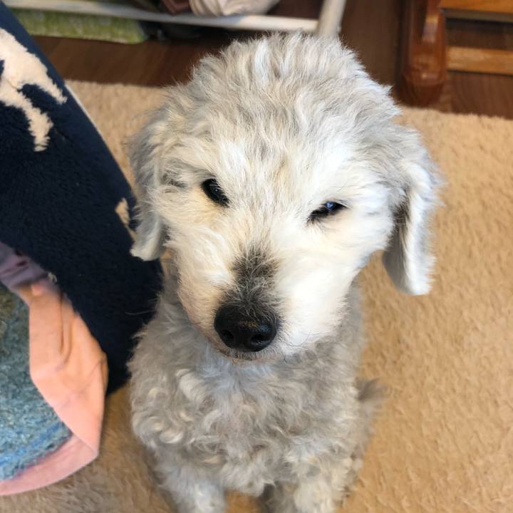 D91de882 4d1b 4b0d 8901 67abf794926d 1647475500347