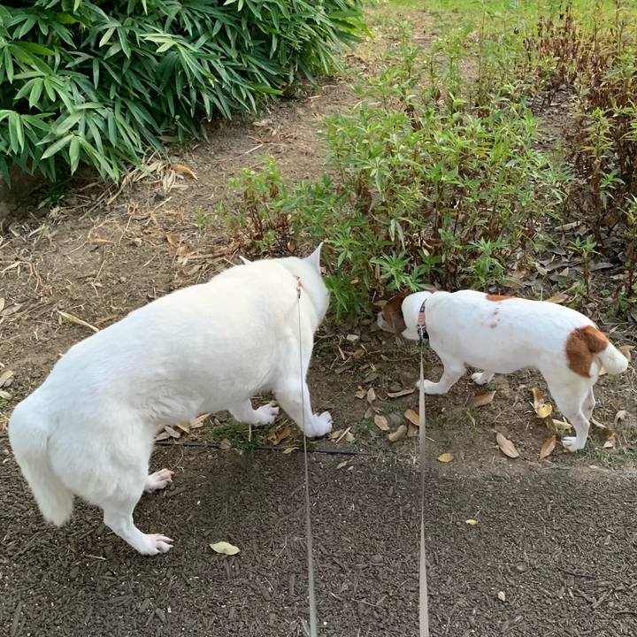 D91e0152 a759 4ba7 8e14 ac3ab60fc2bd 1565286546192