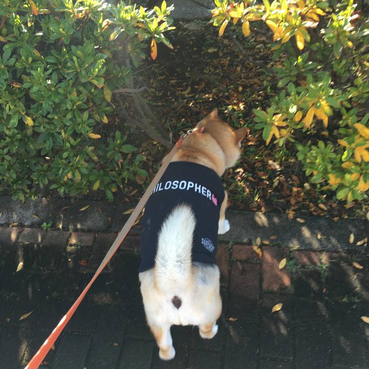 D91e2285 8fcd 4d88 9179 2b1e1c9b4495 1577410041433