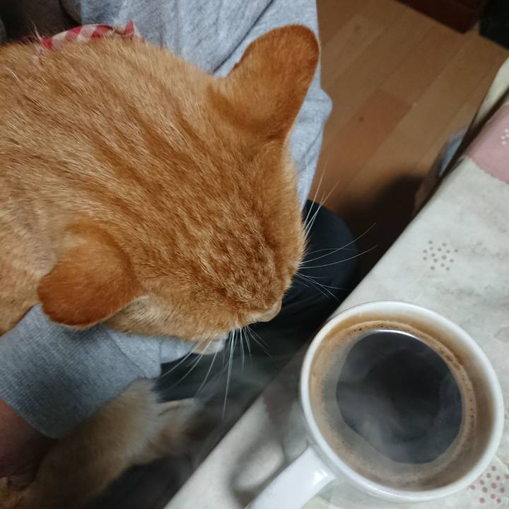 D91e5473 0b0d 4bd6 8d46 ea44c6dd2cb2 1605296396893