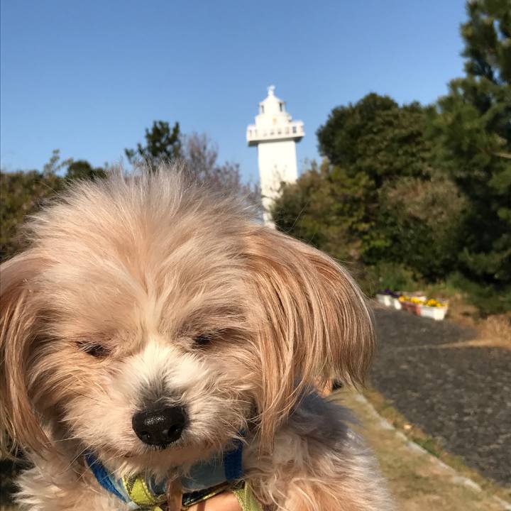 D91e6c0c d930 4f02 9b02 db7437c82ed8 1521804241812