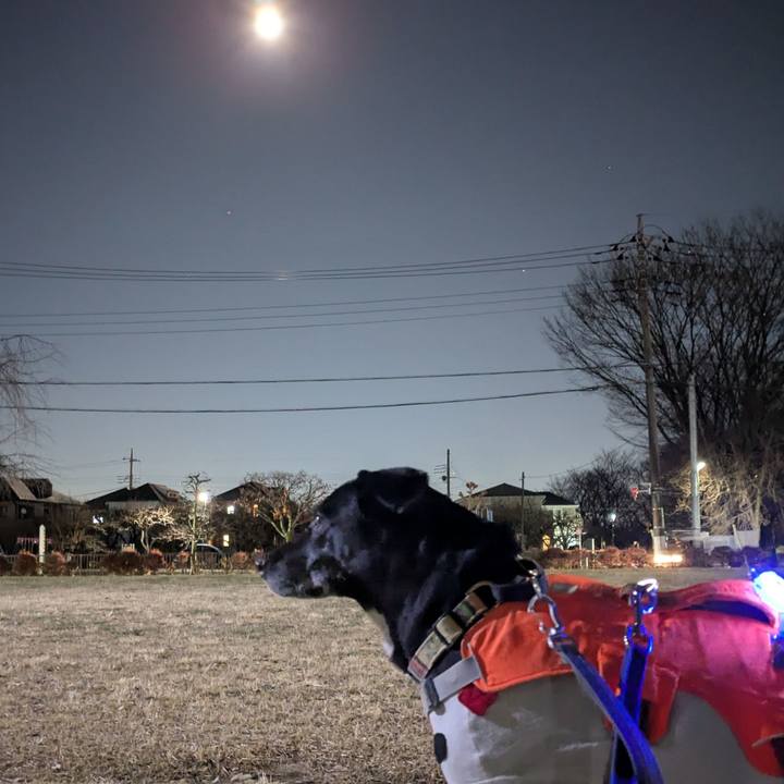 D91eabe0 5974 4a3d b9bd b5e21776e669 1734259671726