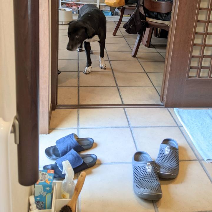 D91ecc7b 4b78 4245 86dc 42cd34931005 1681294764388