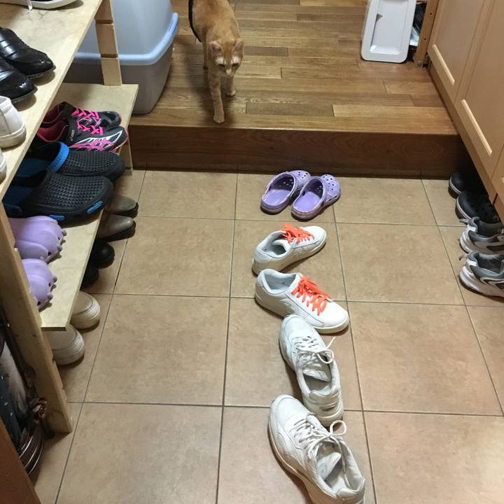 D91ed8d8 7fe7 4c98 b8ab 40f4f6d52ea0 1510147217852