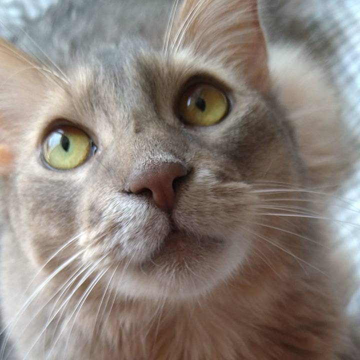 D91ed908 74db 4751 a916 a82e16fded1f 1625895001304