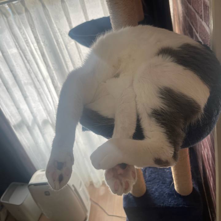 D91f0e00 7207 4818 86f8 d9a62678148d 1669076977621