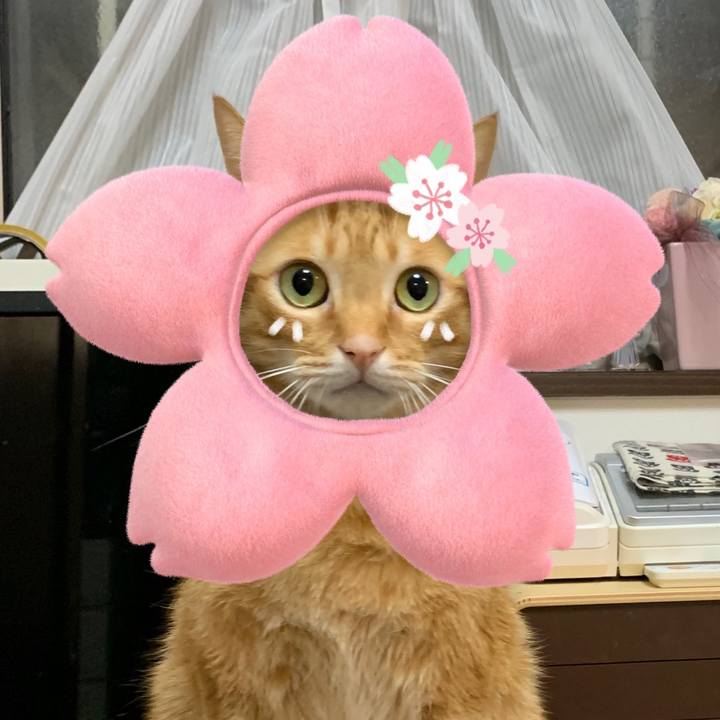 D91f101b 286e 4922 af6b d971fe86f444 1584833595328