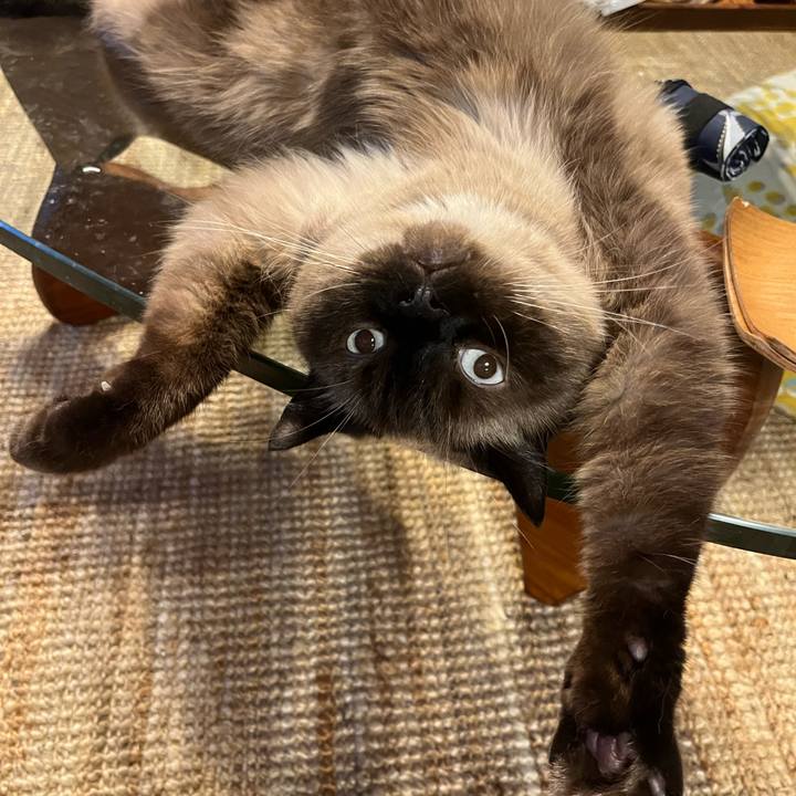 D91f61b8 2570 440e 9c1a d11f800f5d59 1758109467497