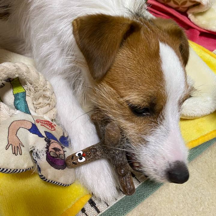 D91f7736 8761 470e a98f c3aa90030197 1628810338900