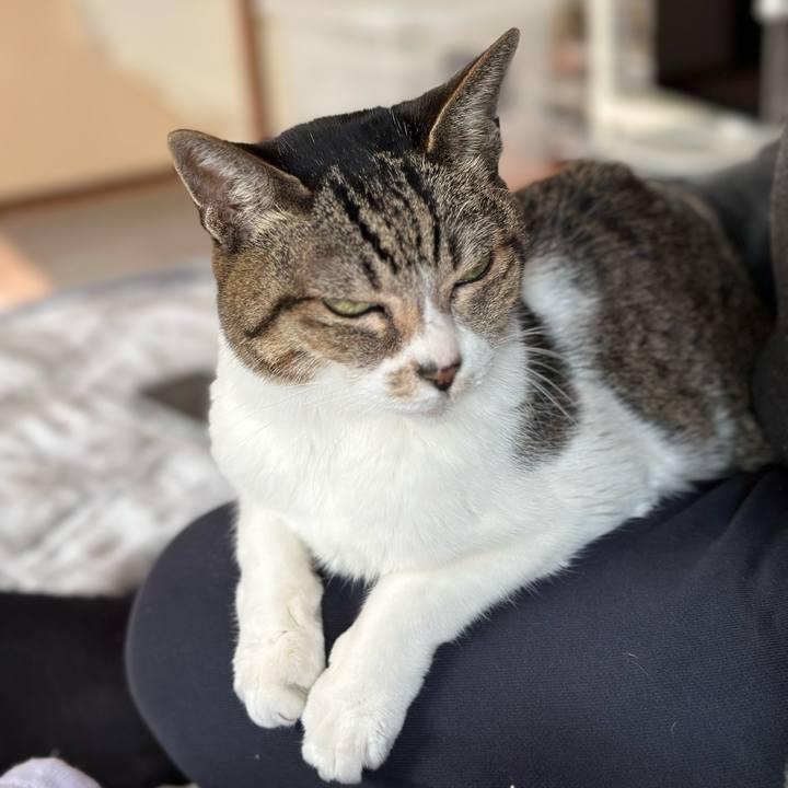 D91f7c60 32ae 4398 a5ab 7601631aab24 1677550505713