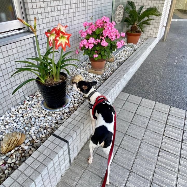 D91fb4ad 3ffb 4c54 8fb9 6bc528b3423e 1590016075196