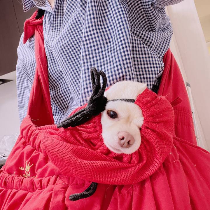 D91fb588 91ca 493c b522 f207c242ffea 1683097389296