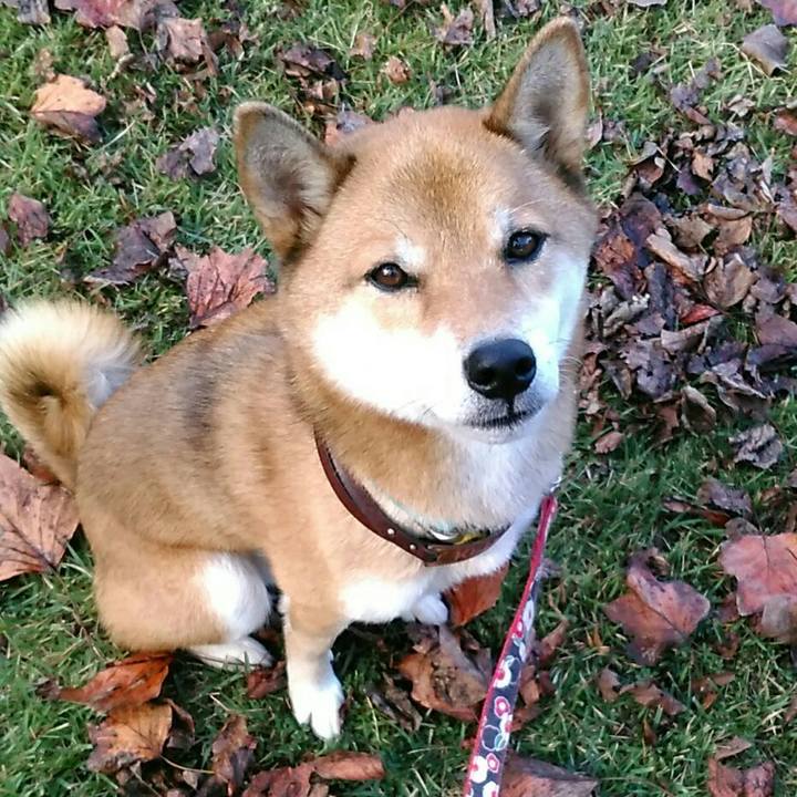 D91ff7b3 4ab4 4e56 8ae0 cf58629a33e6 1539908600866