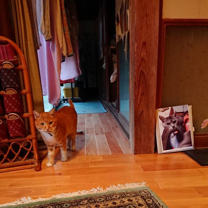 D9203f5c 062c 4303 8872 eed77c904b5b 1601282413747