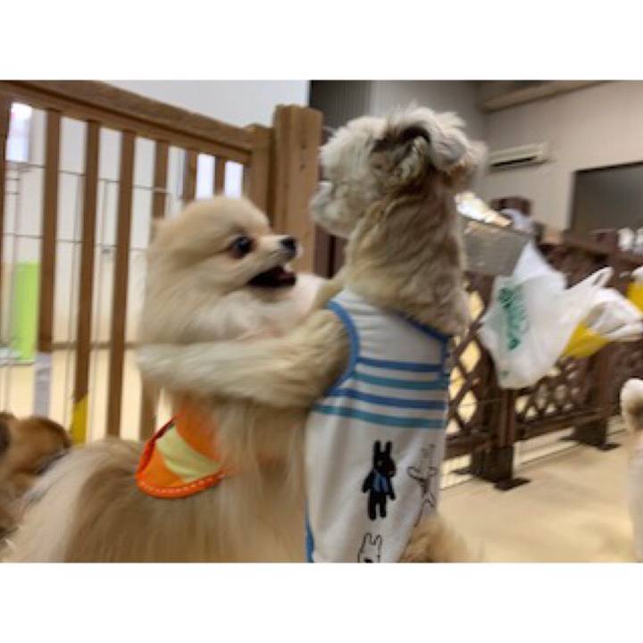 D9206ed5 b033 424c a5bc 452ecf3e1405 1561097575609