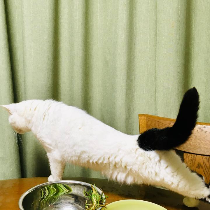 D9207c08 a88c 46f6 8c7c a17bfa46ab99 1562210876489