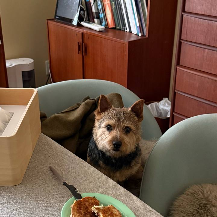 D920b384 3eec 45ec 9fce e83dd7f823b5 1774914012613