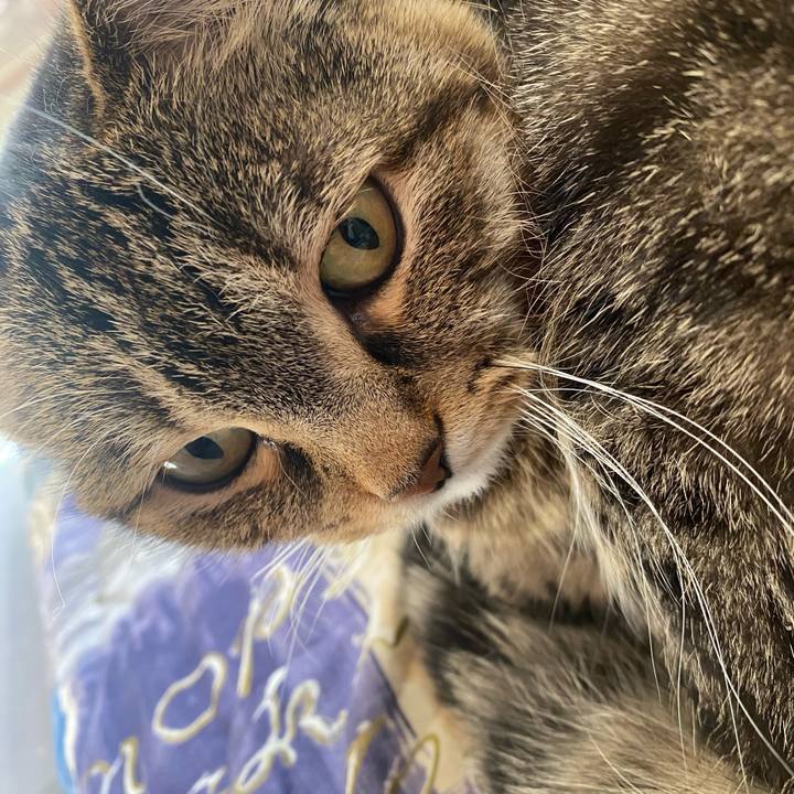 D920d3ad e792 468a b4a6 640efc44ade9 1645157224799