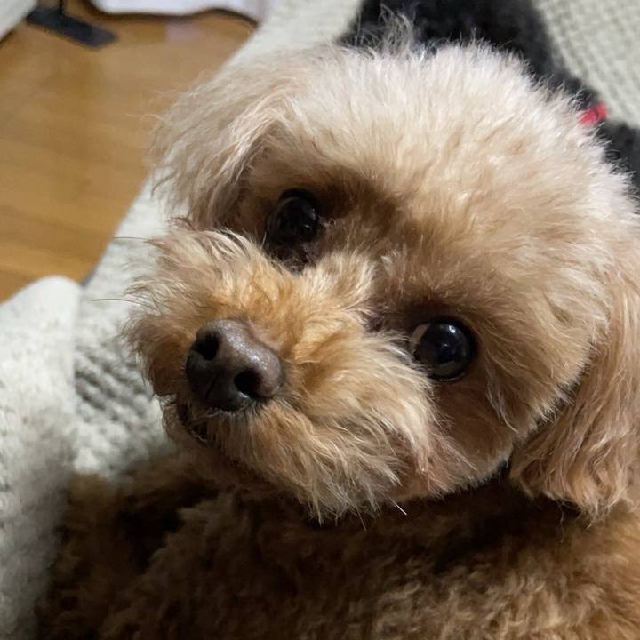 D920d41b e2fa 4796 bed2 8066c741950c 1709808420311