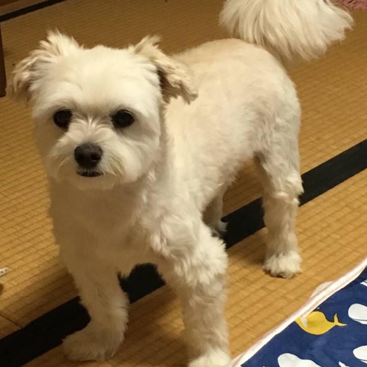 D92104b0 268d 4908 8c19 0fa16fd6e05d 1566125351852