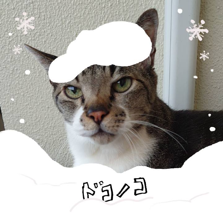 D92114f2 9505 4b9e a366 4f957d107e5a 1772174635660