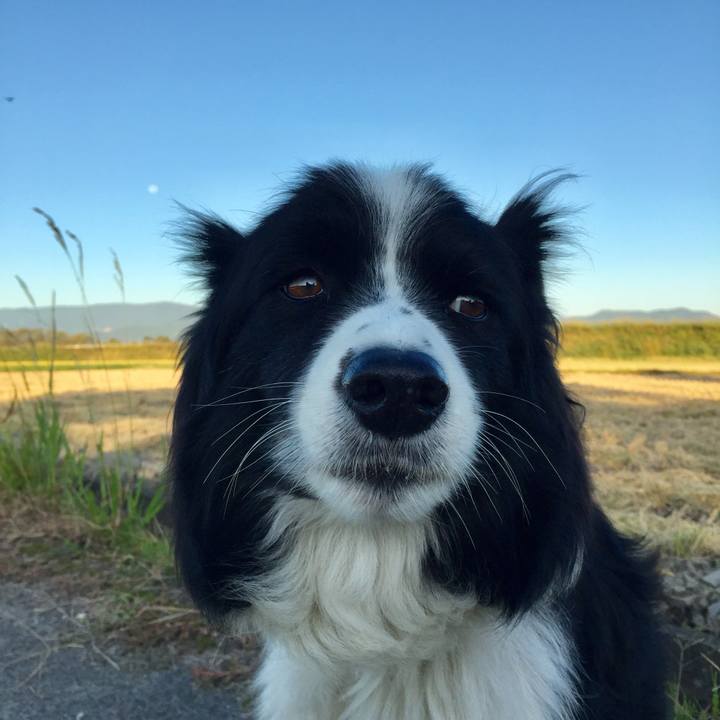 D9212e8f eece 48b6 b51c 7446189a961f 1727080396292